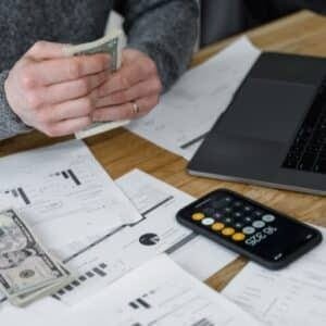 Professional paystub creation and editing service